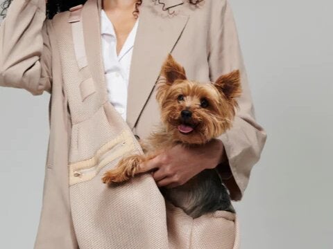 7 Pawsitively Perfect Gifts For Pets
